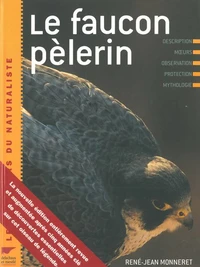 Le faucon pèlerin