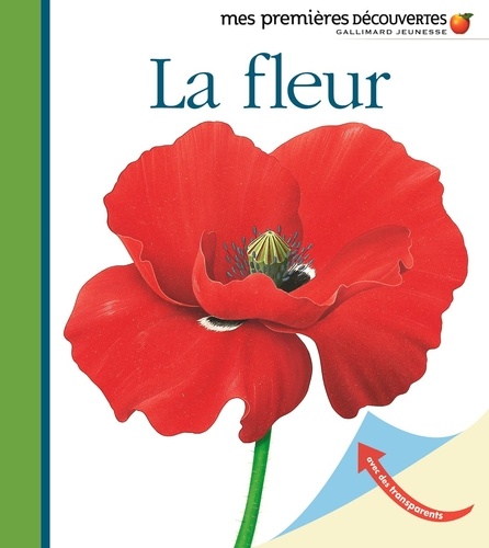 René Mettler - La fleur.