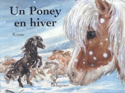  Renne - Un Poney En Hiver.