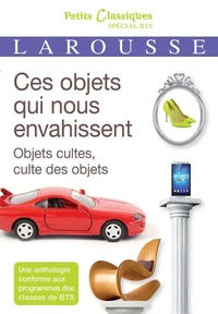 Ces objets qui nous envahissent : objets cultes, cultes des objets