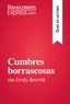  ResumenExpress - Guía de lectura  : Cumbres borrascosas de Emily Brontë (Guía de lectura) - Resumen y análisis completo.
