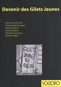 Devenir des gilets jaunes