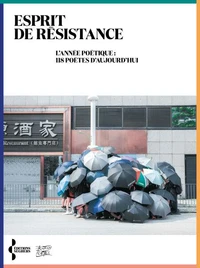 Esprit de résistance