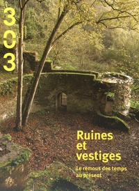 Thomas Renard - 303 Arts Recherches Créations N° 140/2016 : Ruines et vestiges - Le remous des temps au présent.