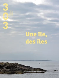Une île, des îles