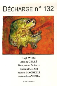 Décharge N° 132, décembre 2006