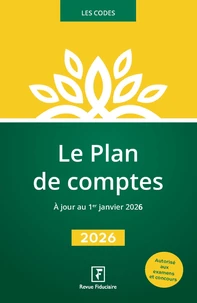 Le plan de comptes