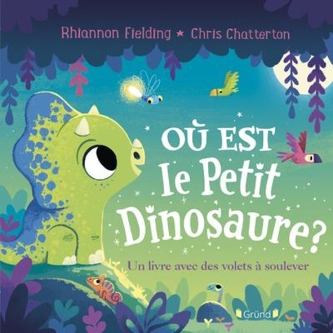 Rhiannon Fielding et Chris Chatterton - Où est le petit dinosaure ? Un livre avec des volets à soulever.