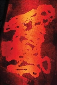 Livres gratuits sur ordinateur en pdf à télécharger Rian Dundon: Passenger 9798988264538 par 