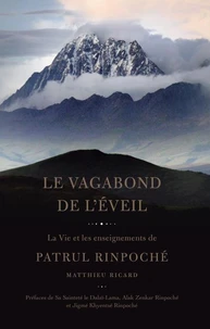 Le vagabond de l'éveil