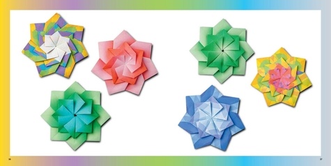 Coffret origami 60 nuances de couleur. Un livre avec 4 modèles et des instructions pas à pas. Avec 180 feuilles