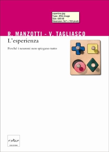 Riccardo Manzotti et Vincenzo Tagliasco - L'esperienza. Perché i neuroni non spiegano tutto.