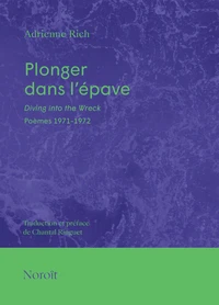 Plonger dans l'épave