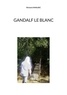 Richard Amalric - Gandalf le Blanc.