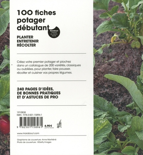 Potager débutant