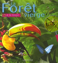 Richard C Vogt - La Forêt vierge.