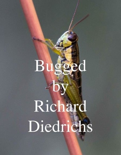  Richard Diedrichs - Bugged.