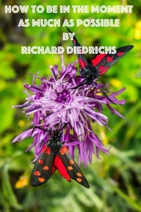  Richard Diedrichs - How to Be in the Moment As Much As Possible.