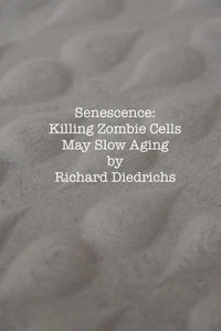 Senescence: Killing Zombie Cells May Slow Aging