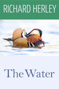 The Water