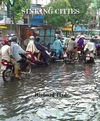Sinking cities