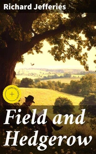 Field and Hedgerow