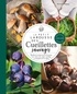 Richard Mabey - Le Petit Larousse des Cueillettes sauvages - Récolter et cuisiner plus de 230 plantes, fruits, lichens, baies, algues, coquillages ou champignons de nos régions.