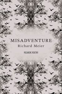 Richard Meier - Misadventure.