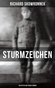 Sturmzeichen (Ein Erster-Weltkrieg-Roman)