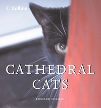 Richard Surman - Cathedral Cats.