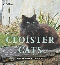 Richard Surman - Cloister Cats.