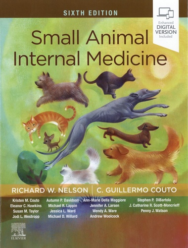 Small Animal Internal Medicine 6th edition