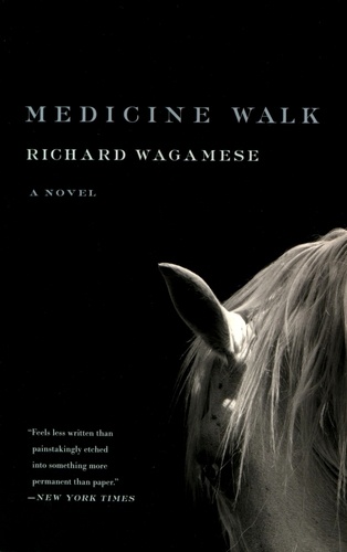 Richard Wagamese - Medicine Walk.