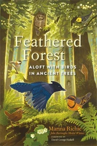 Feathered Forest /anglais
