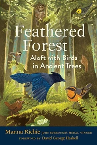 Feathered Forest /anglais