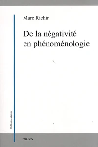 De la négativité en phénoménologie