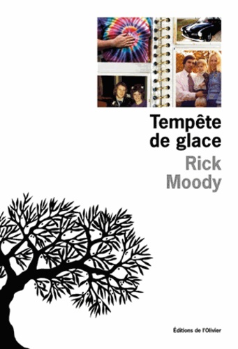 Rick Moody - Tempête de glace.