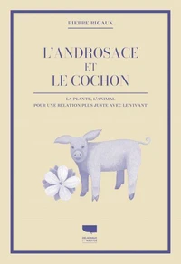 L'androsace et le cochon