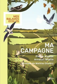 Ma campagne