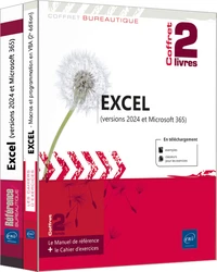 Excel (versions 2024 et Microsoft 365)