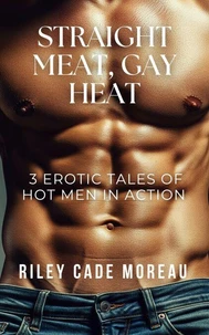 Straight Meat, Gay Heat: 3 Erotic Tales of Hot Men in Action