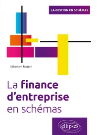 La finance d'entreprise en schémas