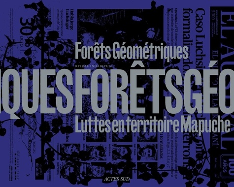 Forêts géométriques. Luttes en territoire Mapuche
