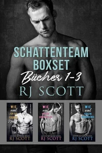 Schattenteam Boxset Bücher 1-3