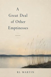 A Great Deal of Other Emptinesses