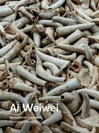 Ai weiwei resetting memories