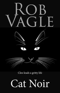 Cat Noir