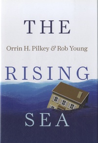 Rob Young - The Rising Sea.