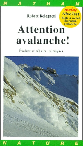 Top Avalanches comment reduire le risque EBook Images