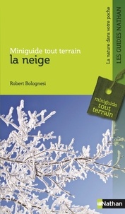Robert Bolognesi - La neige.